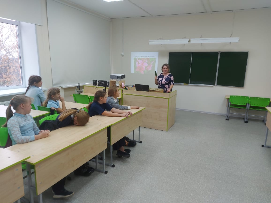 Изображение WhatsApp 2024-11-19 в 18.43.37_862c25df.jpg